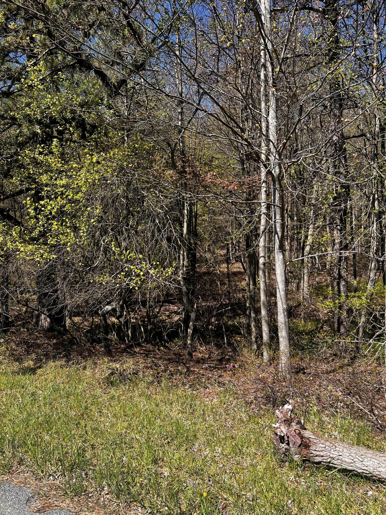 Property Photo: Lot 5882 Tumbleweed Drive PA 18334