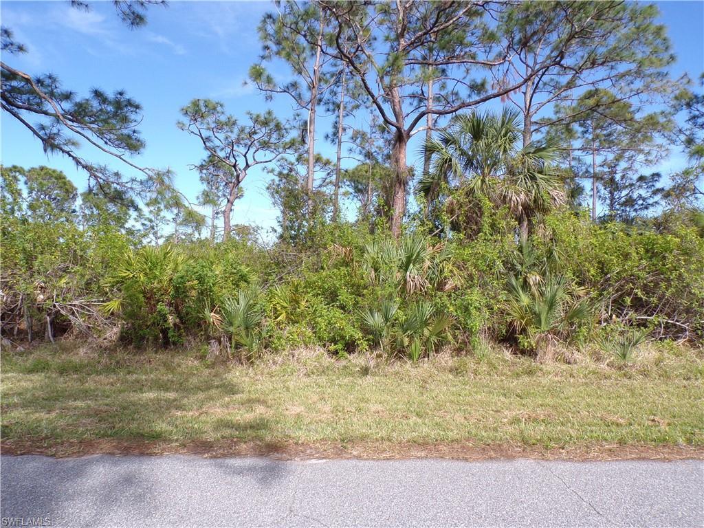 Property Photo: 3142 Callisto St FL 33981