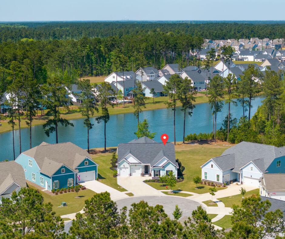 Property Photo: 393 Tupelo Lake Drive SC 29486
