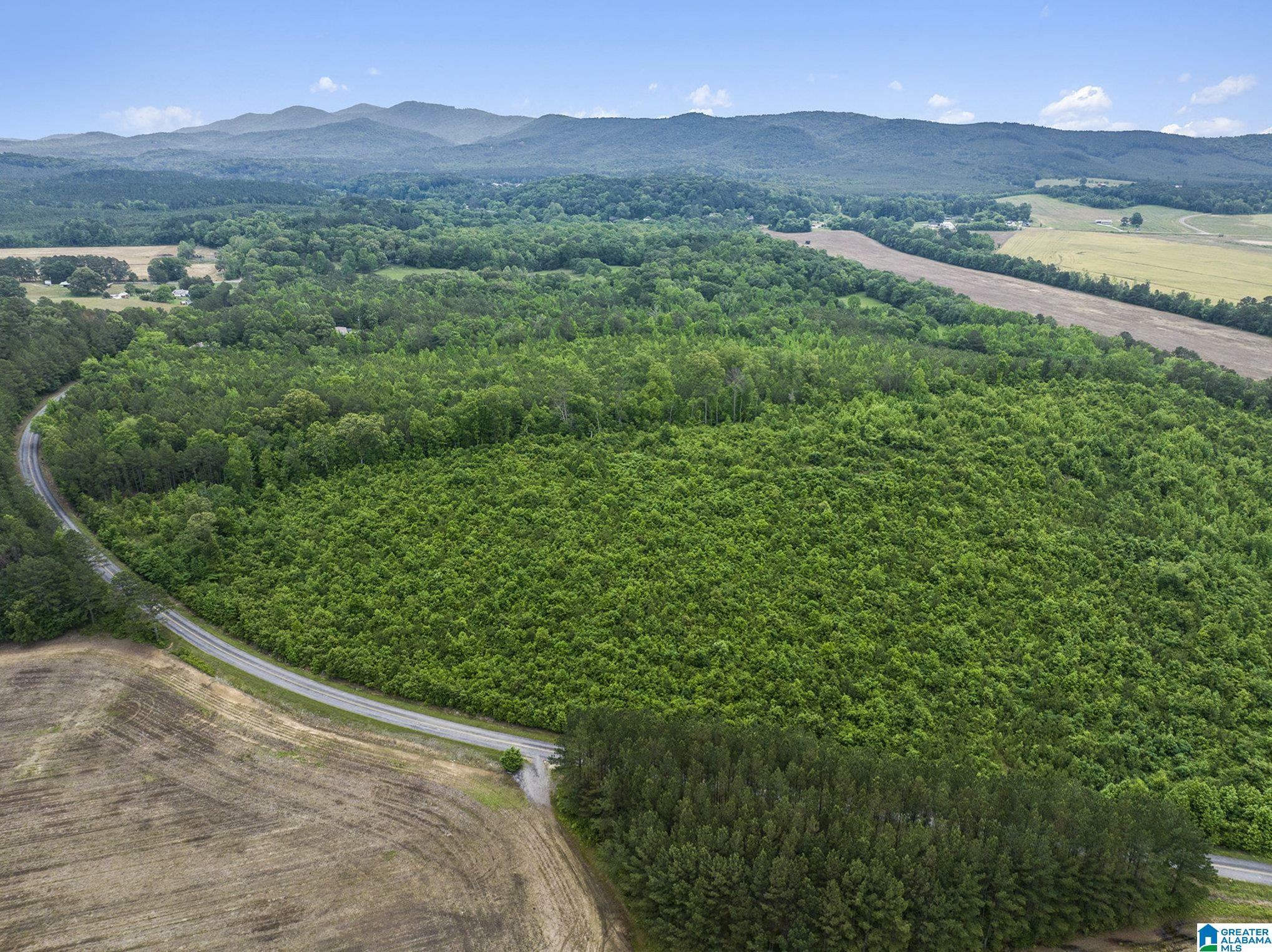 Property Photo: 0 County Road 12 23.940 AL 35960