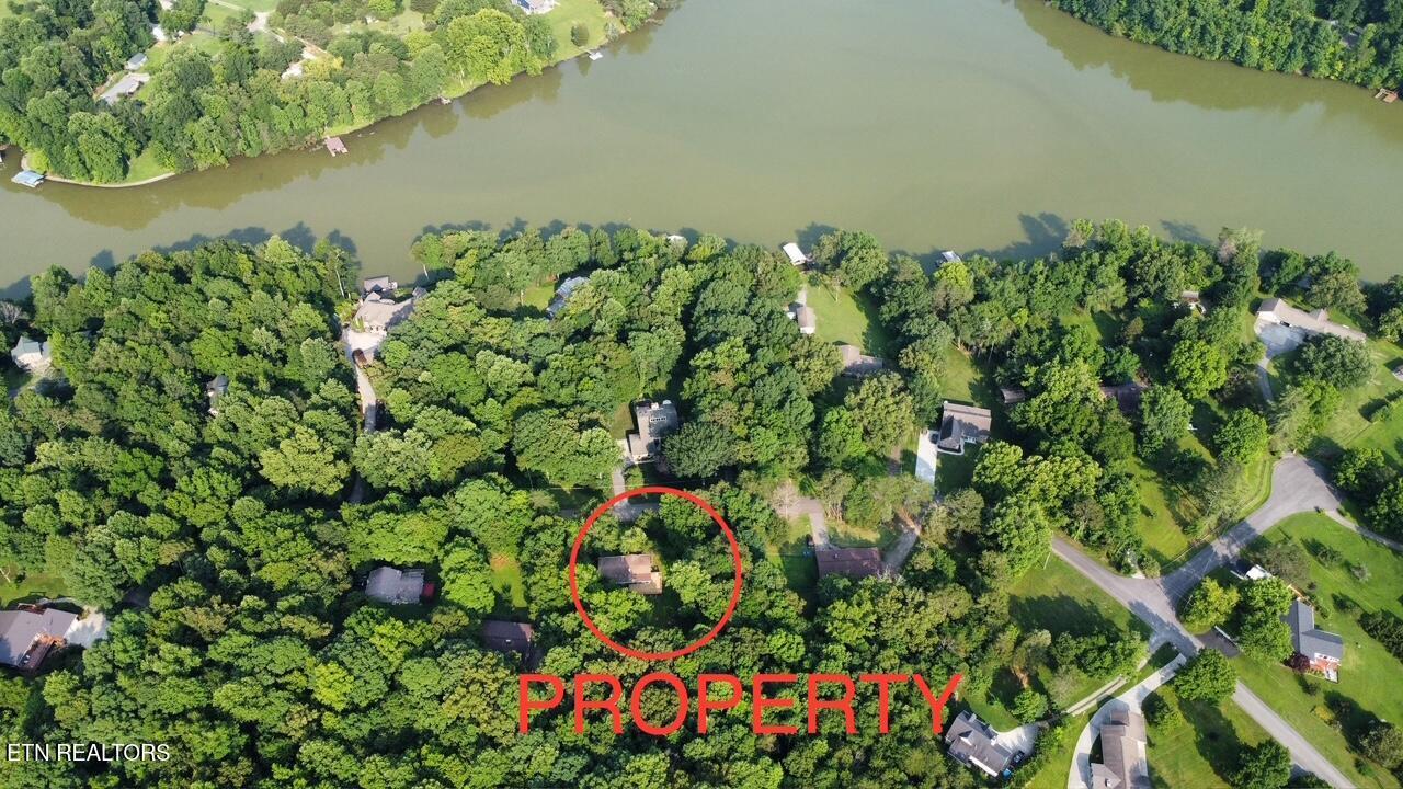 Property Photo: 225 Tracy Allison Lane TN 37716