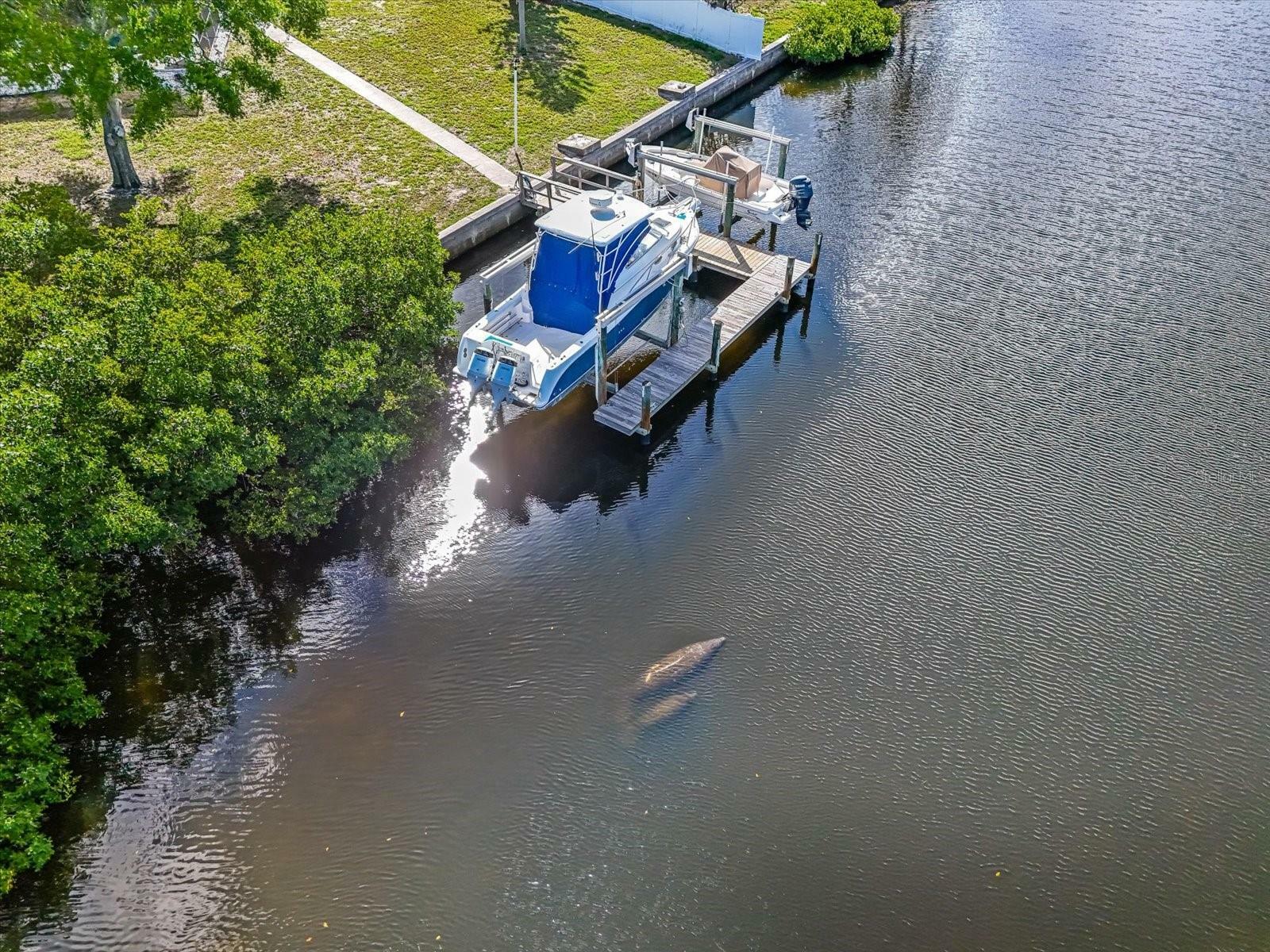 Property Photo: 925 Eagle Lane FL 33572