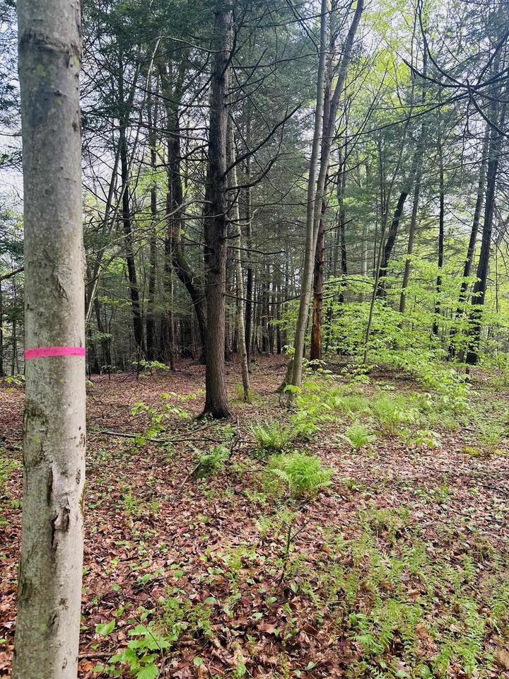 Property Photo:  41 Old Depot Road  VT 05346 