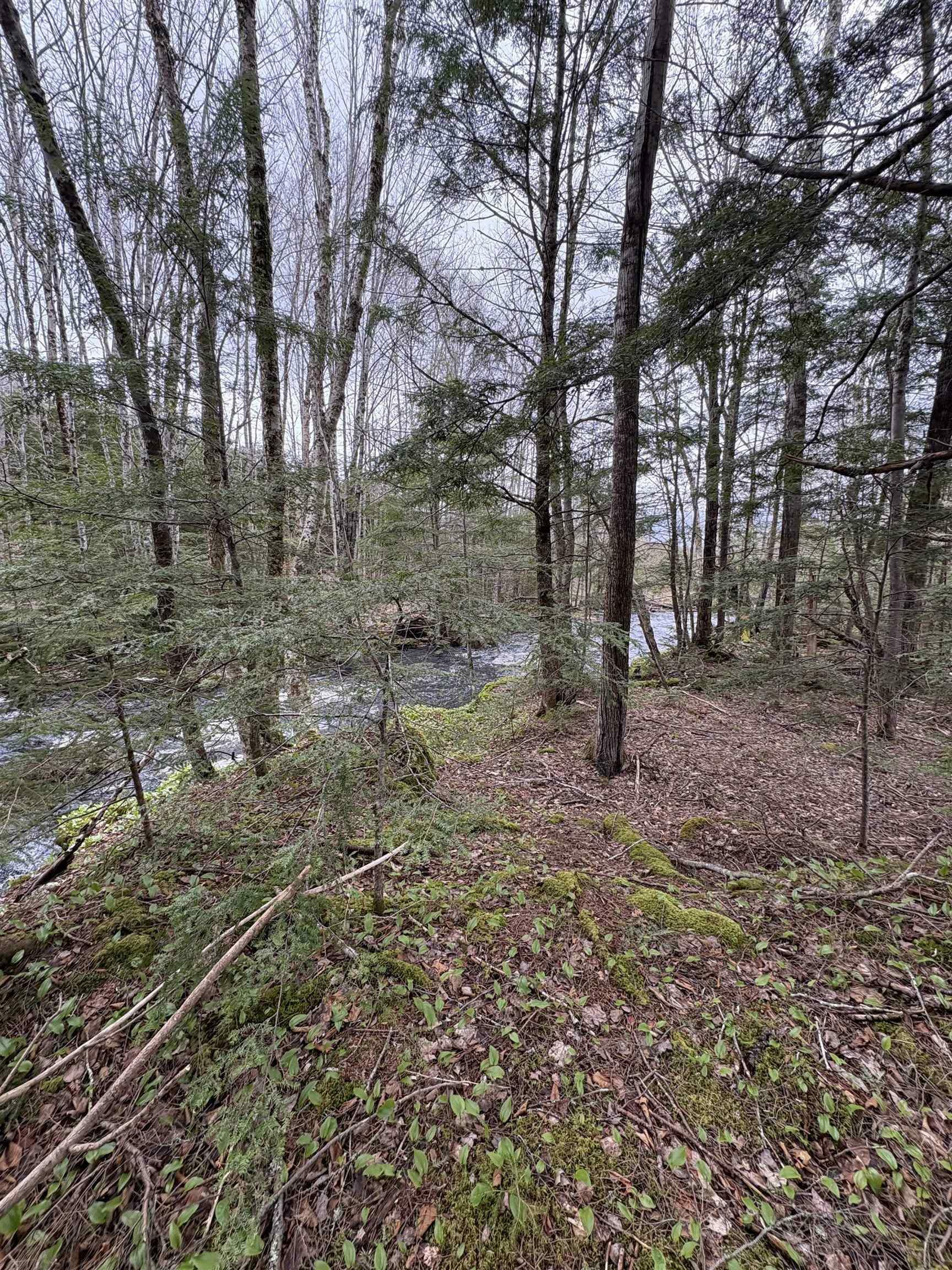 Property Photo:  Lot Mc - 6 New Ross Road  NS B0N 2T0 