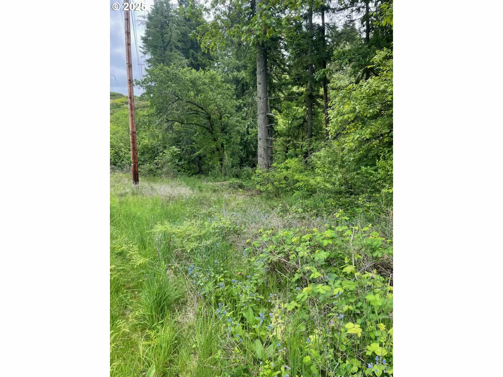 Property Photo: Carson Depot Rd WA 98610