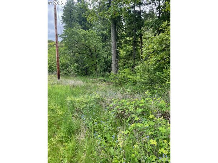 Property Photo: Carson Depot Rd WA 98610