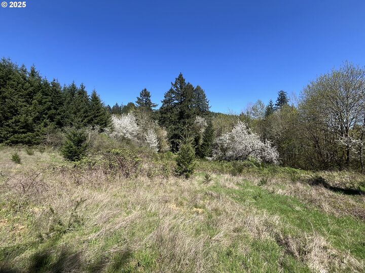 Ns  Forest Grove OR 97116 photo