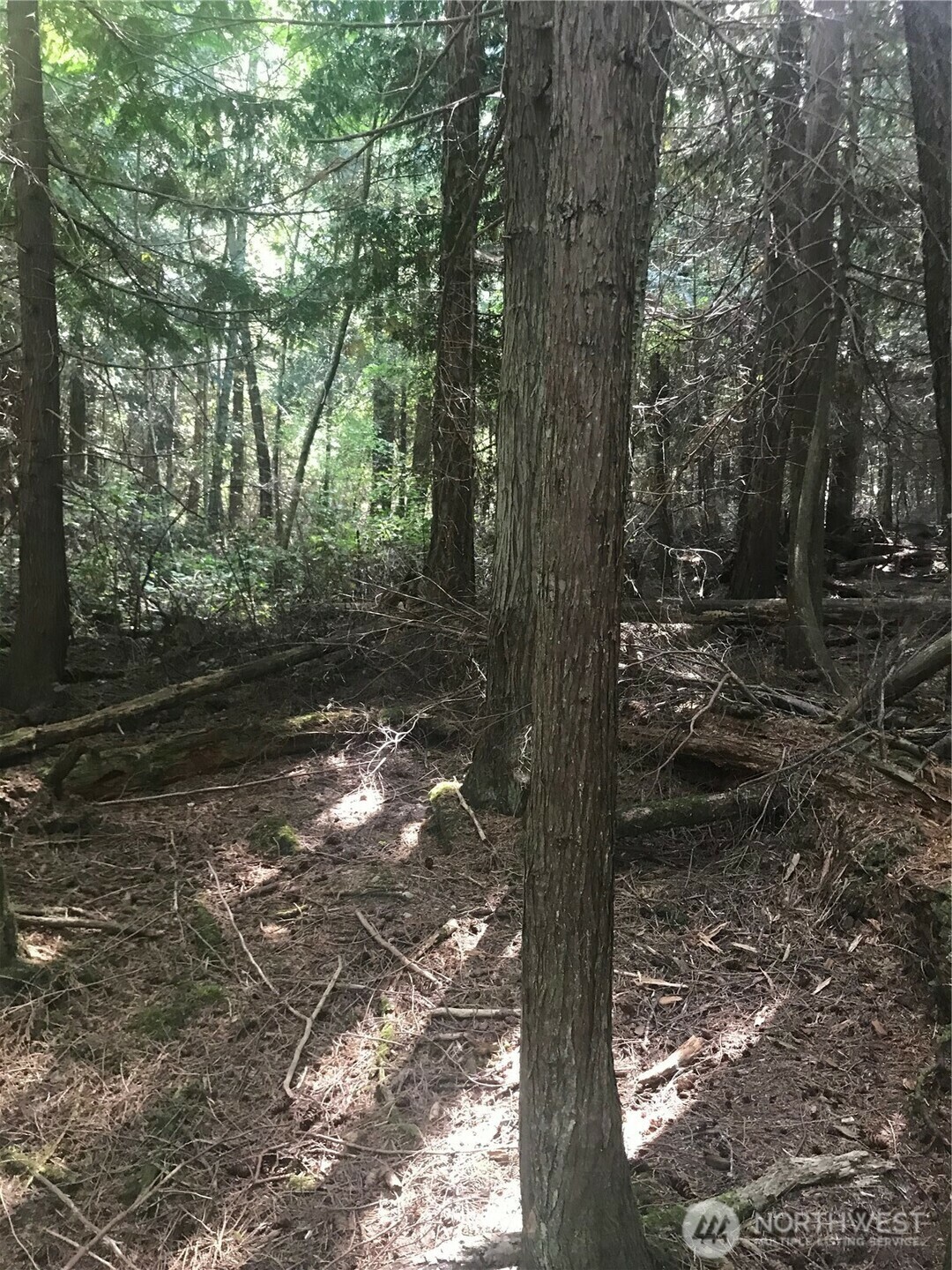 Property Photo: 0 Channel Road WA 98261