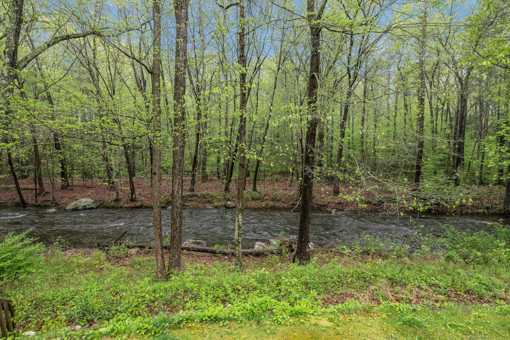 Property Photo: 252 Chestnut Hill Road CT 06419