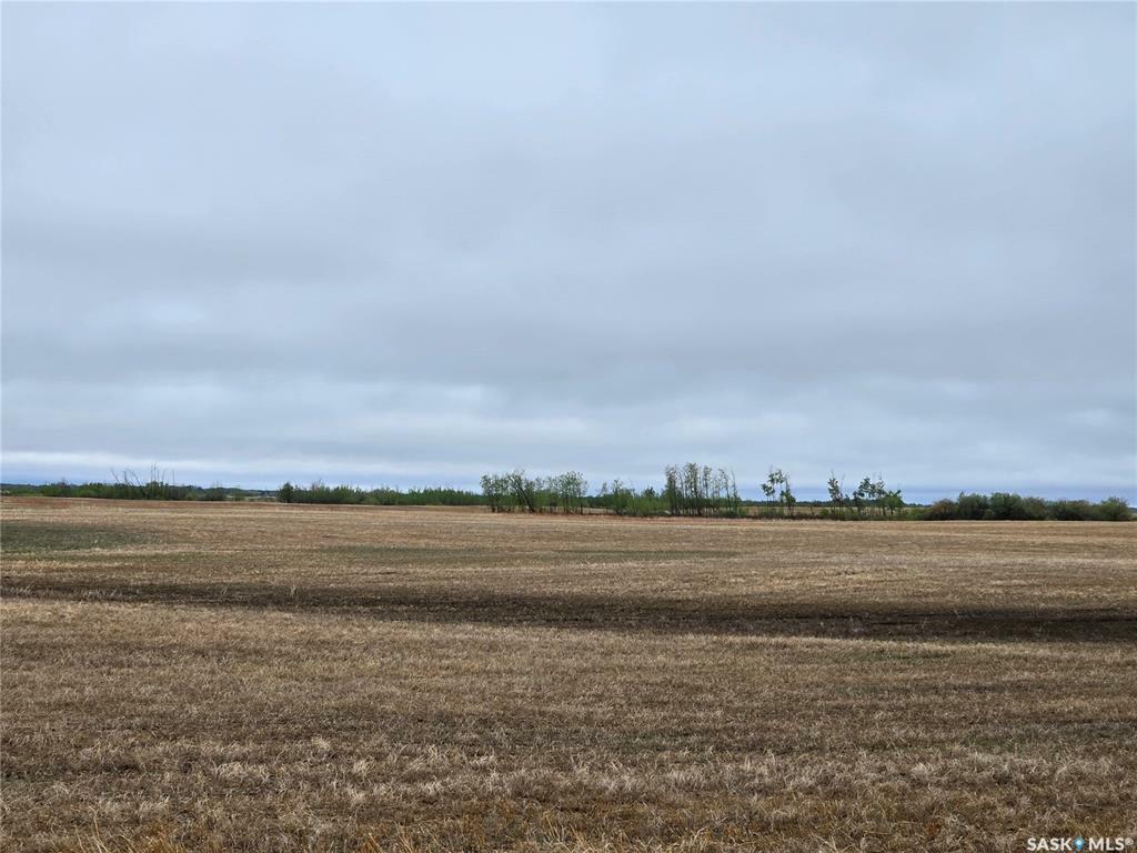 Rural Address  Saltcoats Rm No. 213 SK S0A 3R0 photo