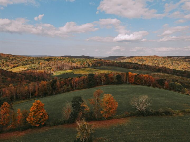 Property Photo: 725 S Hill Road NY 14883