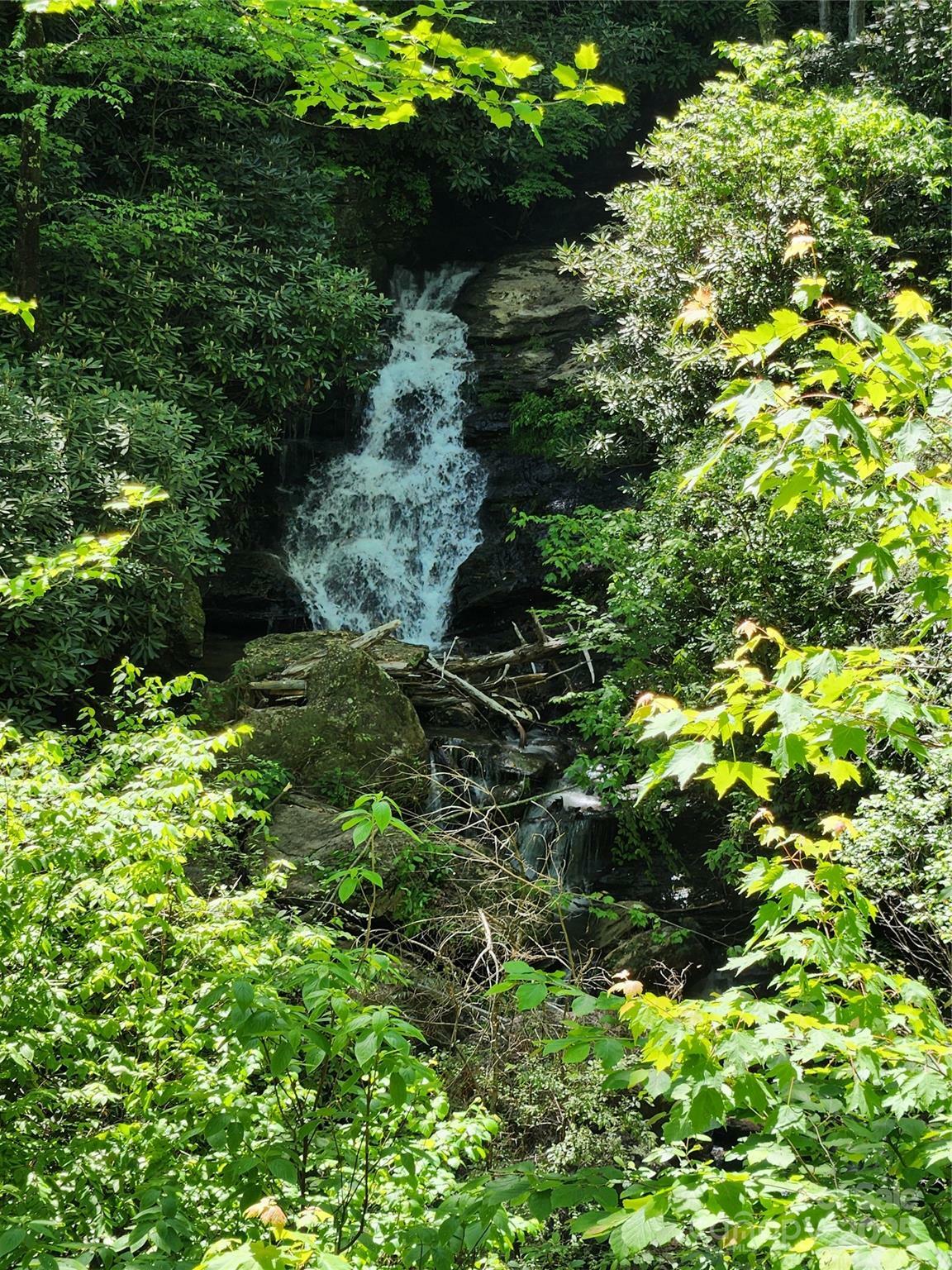 Property Photo: 449 Boone Top None NC 28790