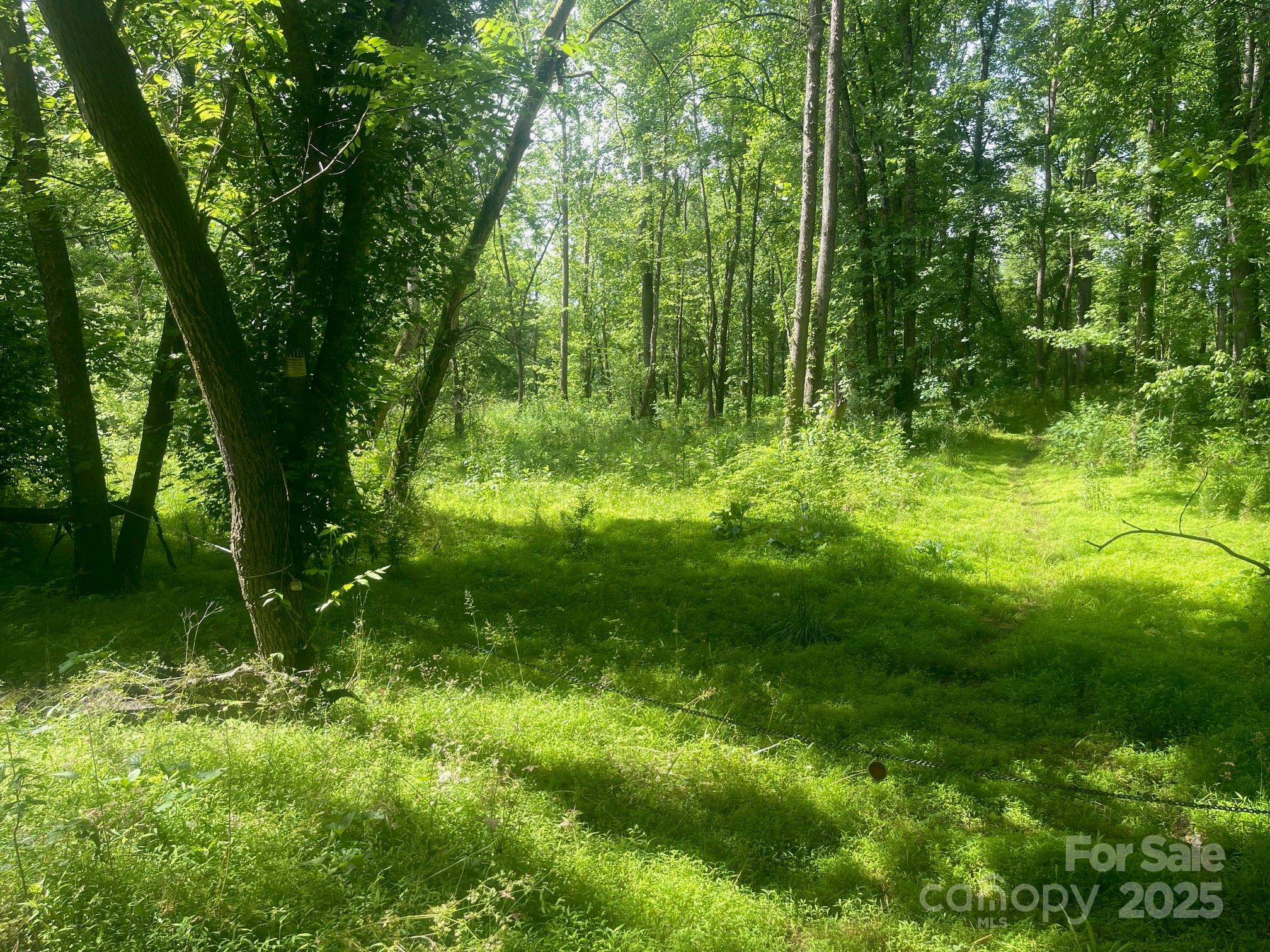 Property Photo: Lot 149 Lookout Dam Road NC 28625