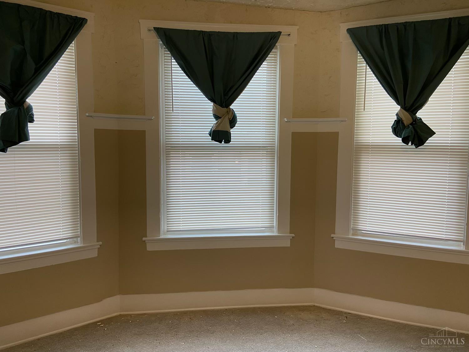 Property Photo: 1611 De Armand Avenue OH 45239