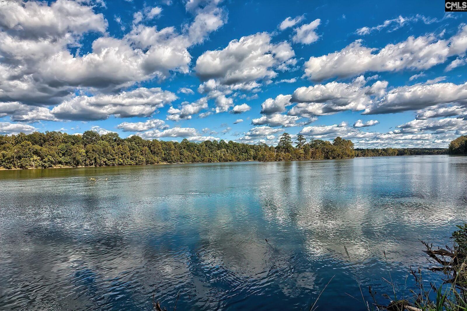 Property Photo: 109 Broad Bluff SC 29063-2934