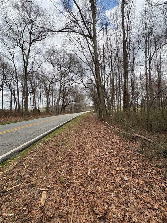 Property Photo: 0 Burwell Mt. Zion Road GA 30117