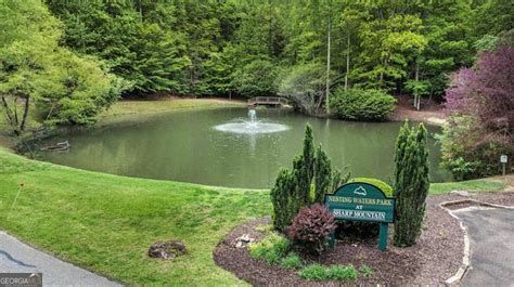 Property Photo: 251 Owl Ridge Way GA 30143