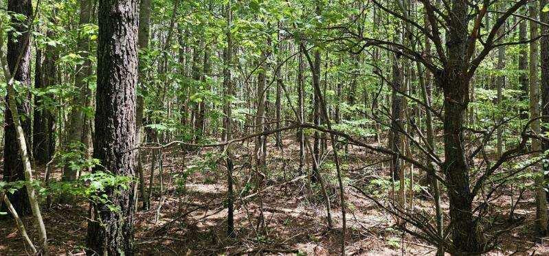 Property Photo: 0 Sunset Rd TN 38585