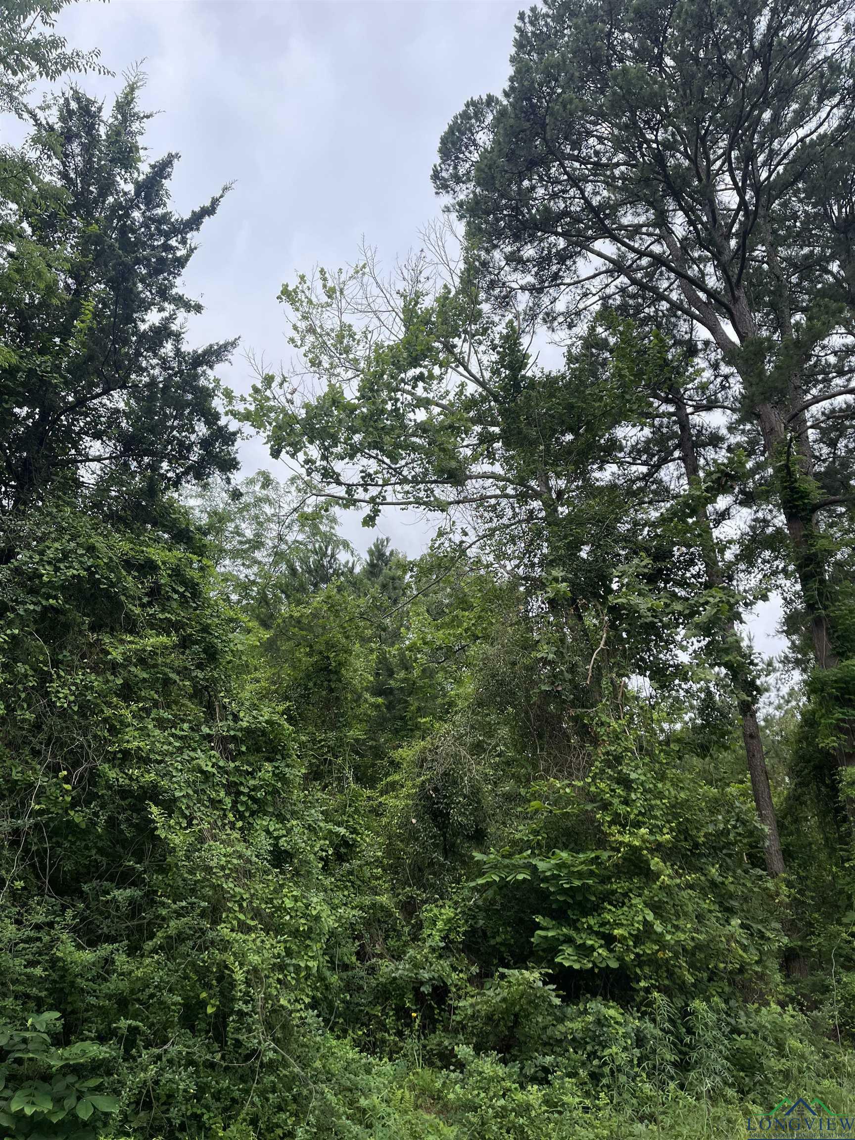 Property Photo: Tbd Trinity Rd Jefferson TX 75657