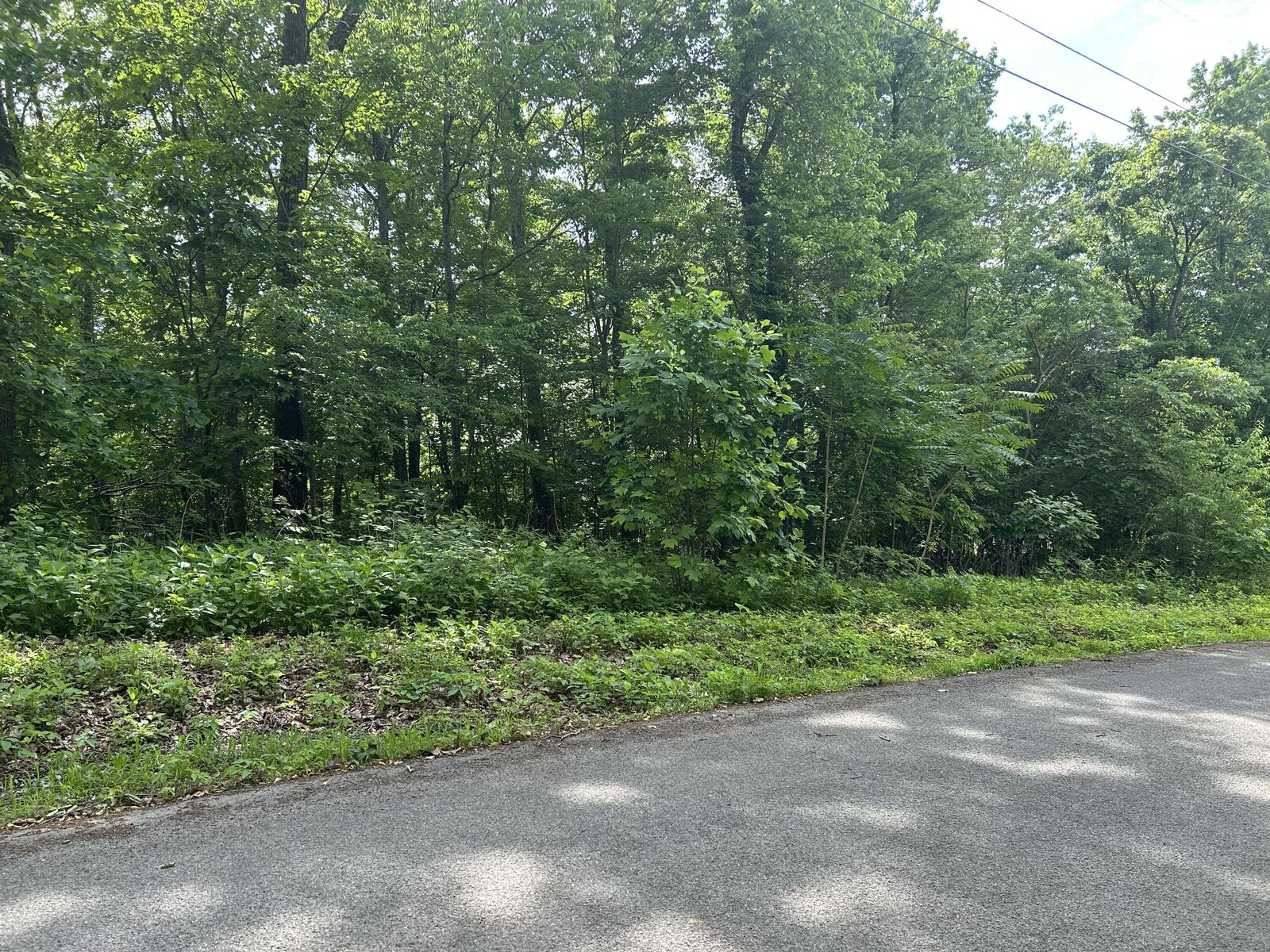 Property Photo:  Lot # 9 Clint Williams Road  TN 37861 