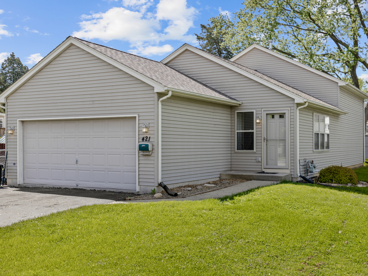 Property Photo: 421 Meadow Avenue IL 60098