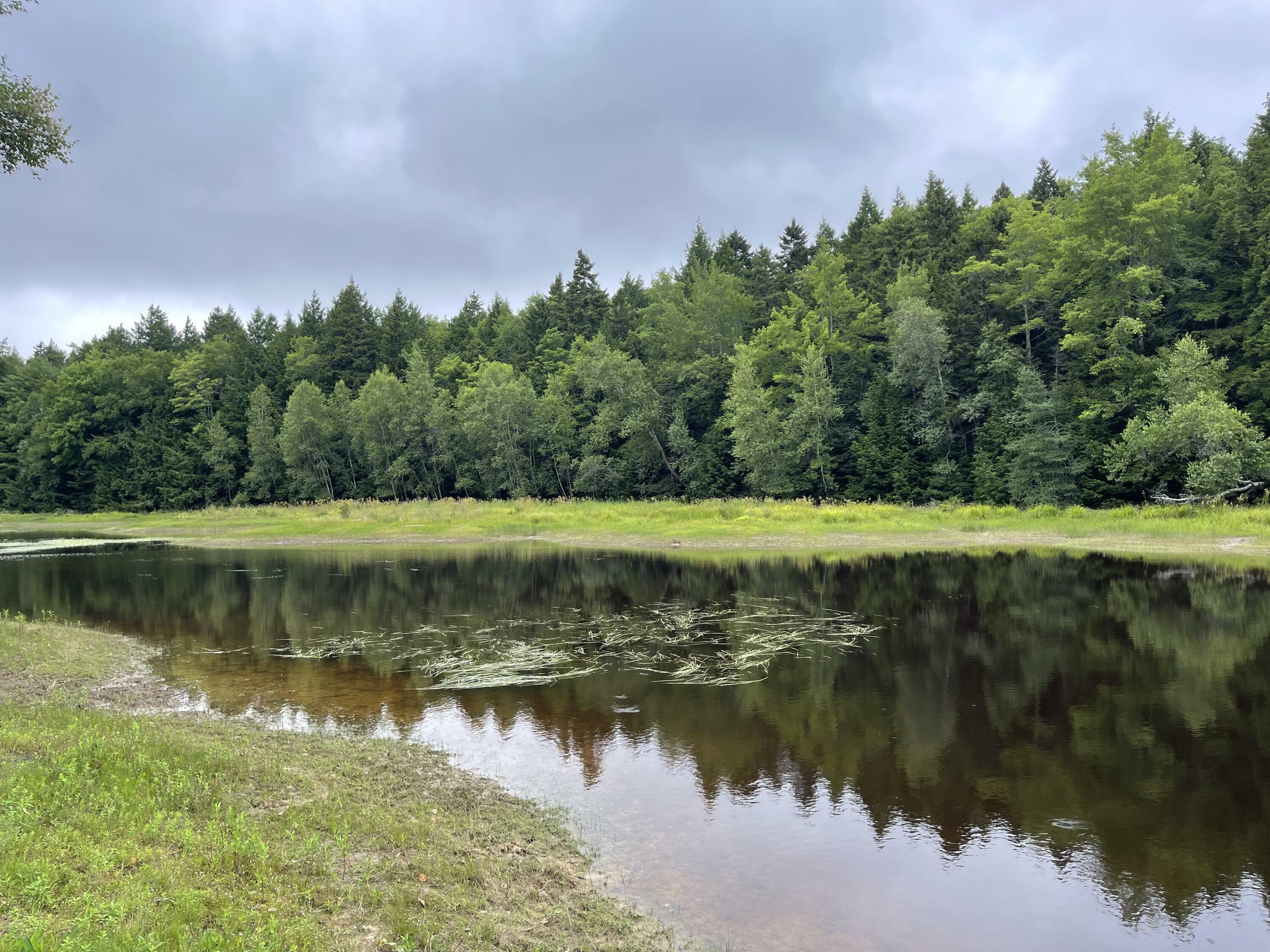 Property Photo: R08-001 West Branch Road ME 04605