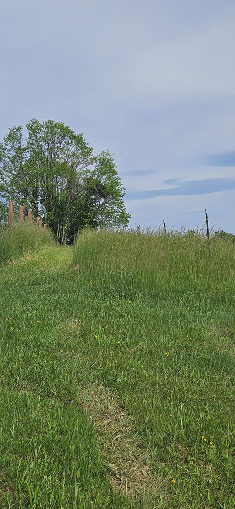 Property Photo: 0 True Rd WV 25951