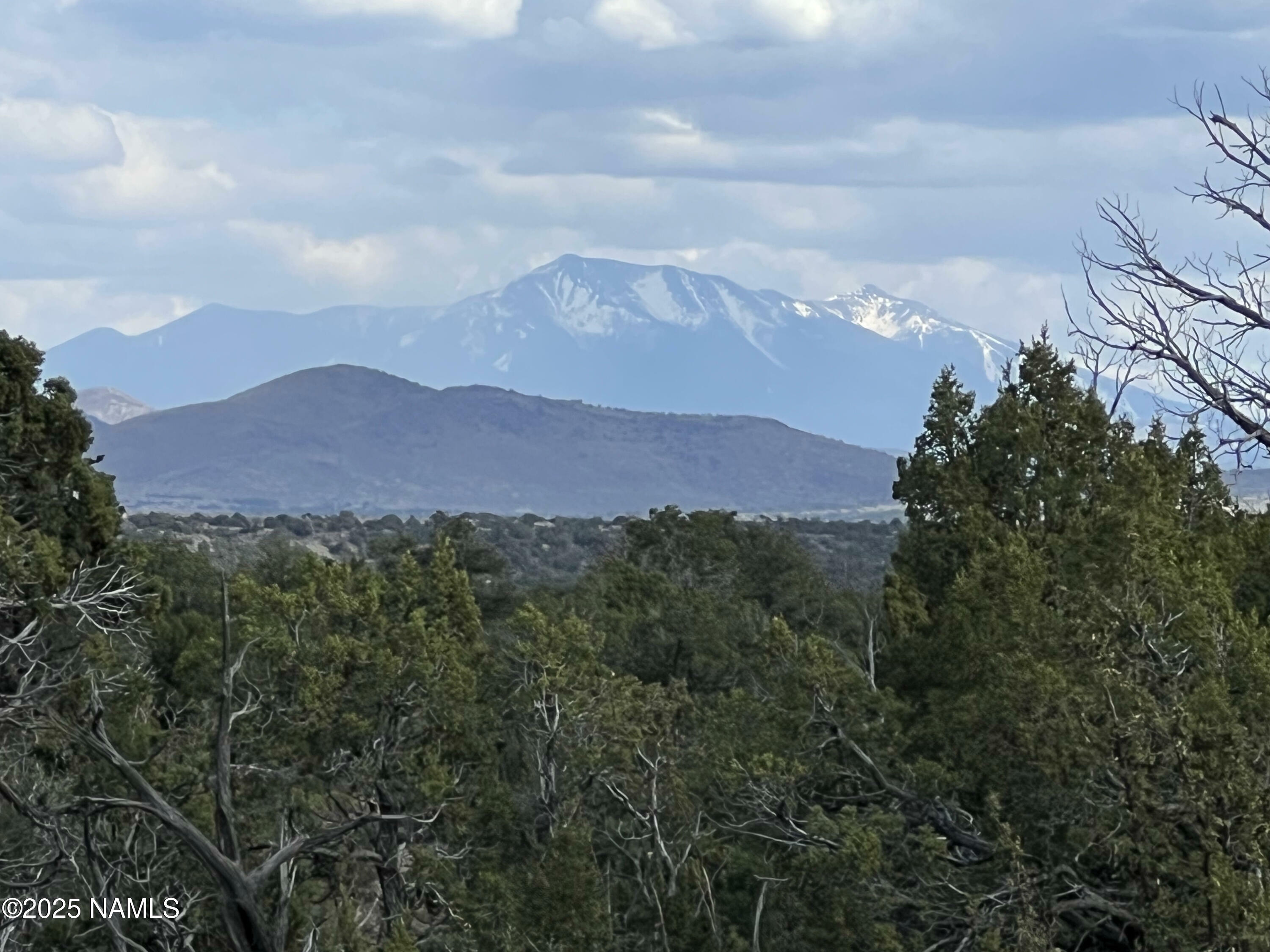 Property Photo:  8394 Bird Dog Circle  AZ 86046 