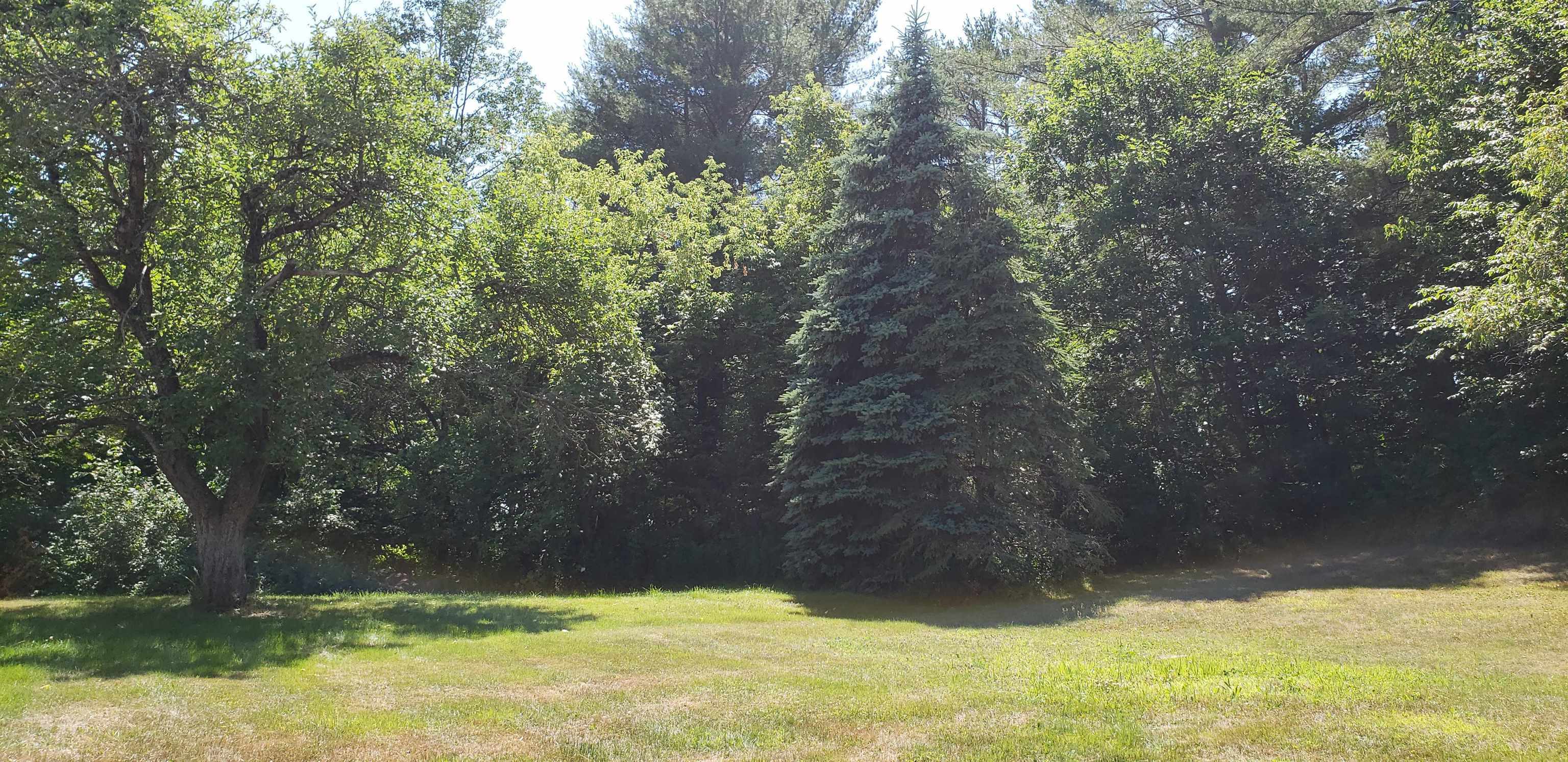 Property Photo: 43 Reagan Road NH 03741