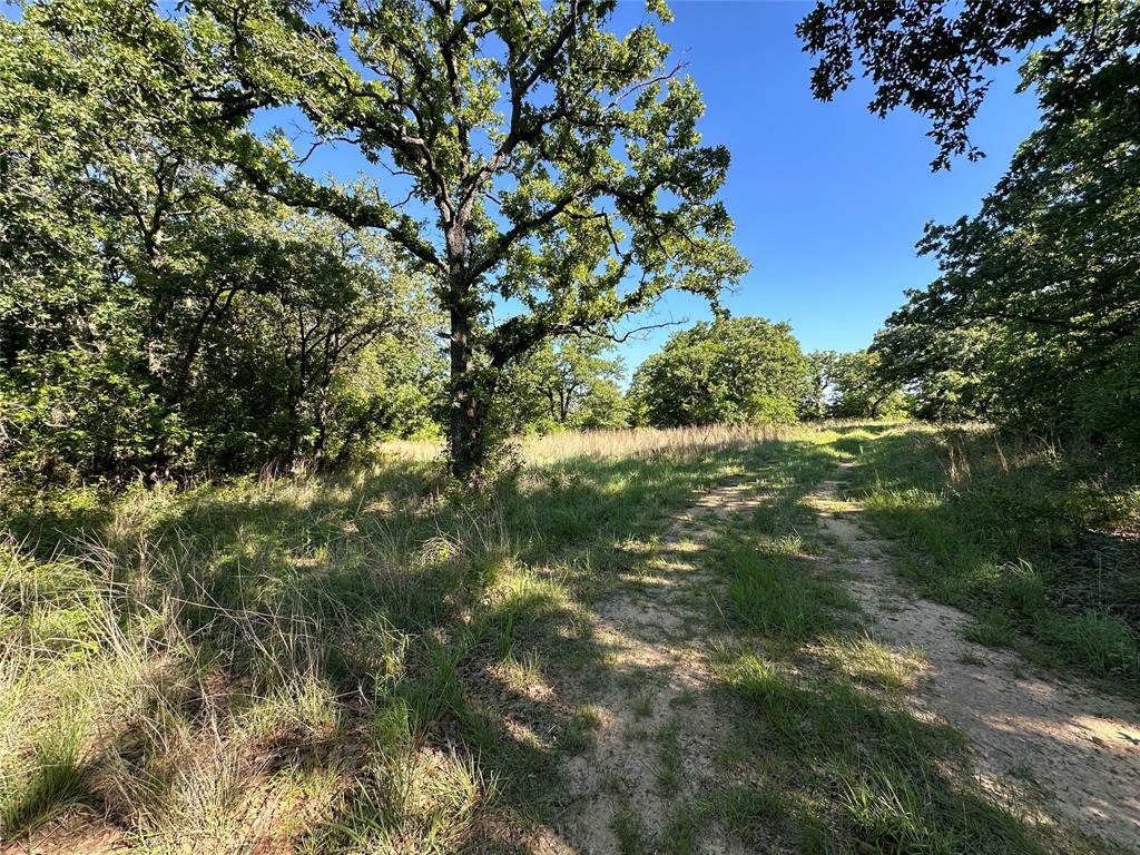 Property Photo: 0000 County Road 428 TX 76471