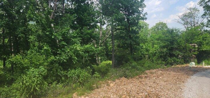 Property Photo:  Lot 79 Restore Ridge  AR 72601 
