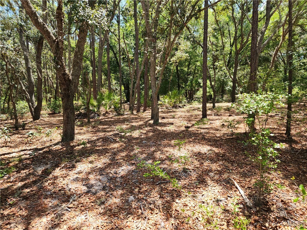 Property Photo: 3775 S Osprey Point FL 34452