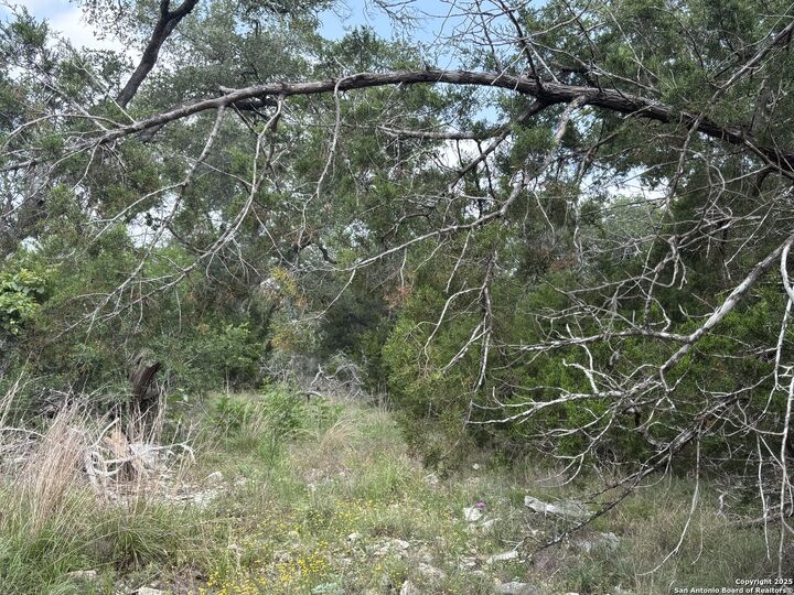 Property Photo: 1424 Stahlman TX 78132