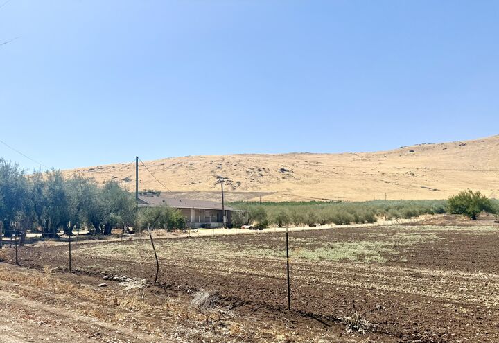 36189 Road 196  Woodlake CA 93286 photo