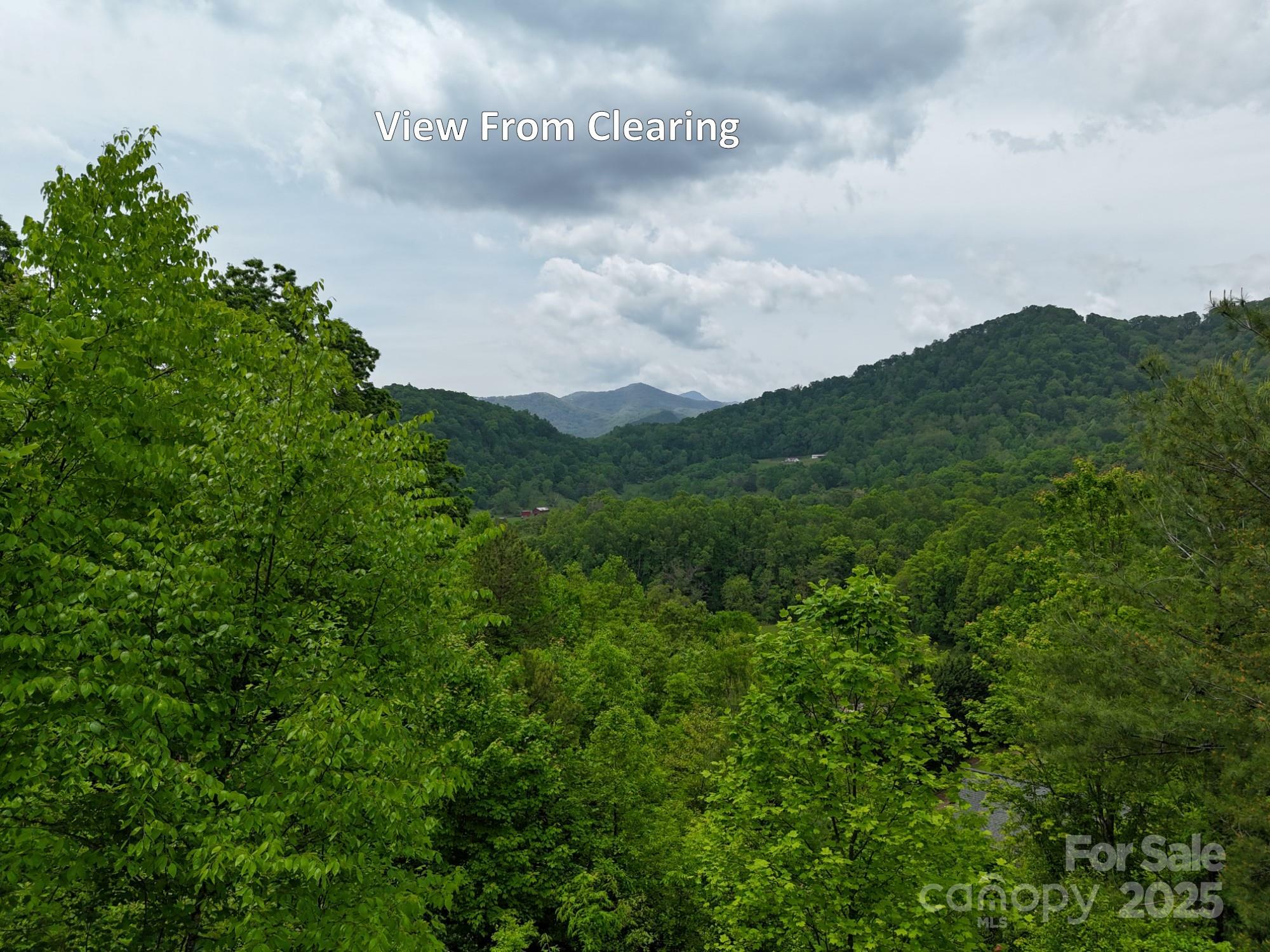 Property Photo: 0 Iverness Drive 12 NC 28785