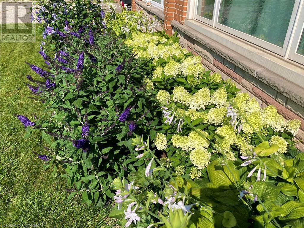 Property Photo: 2392 Mountainside Drive ON L7P 1C5