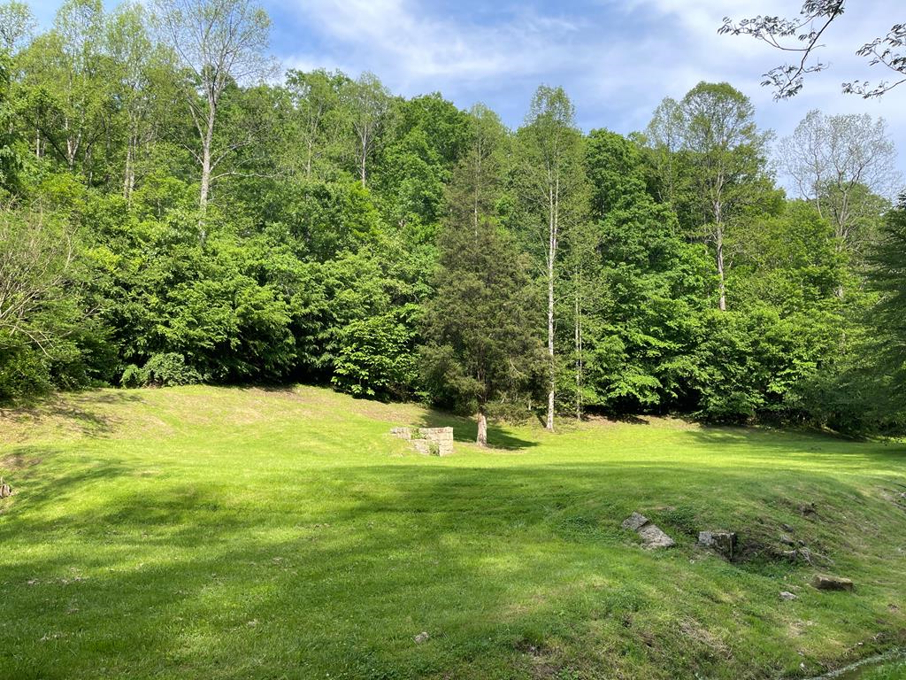Property Photo:  317 Turkey Crum Branch  KY 41224 
