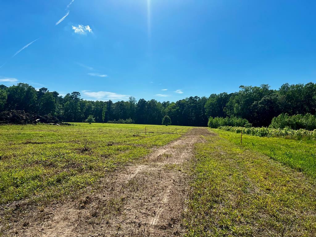 Property Photo:  Lots 1-8 Gray Farm Rd  VA 23442 