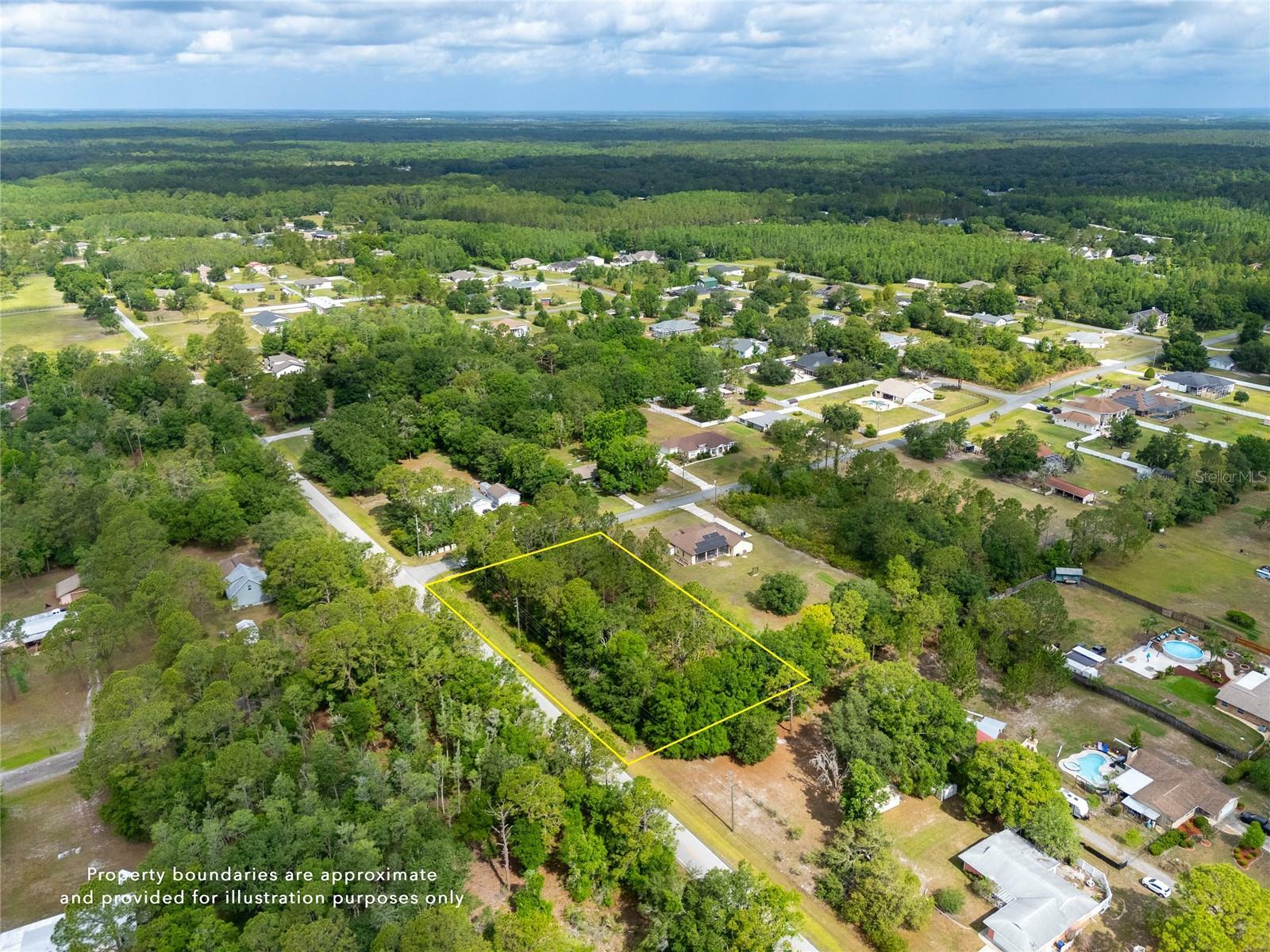 Pine Lands Drive  Wesley Chapel FL 33544 photo