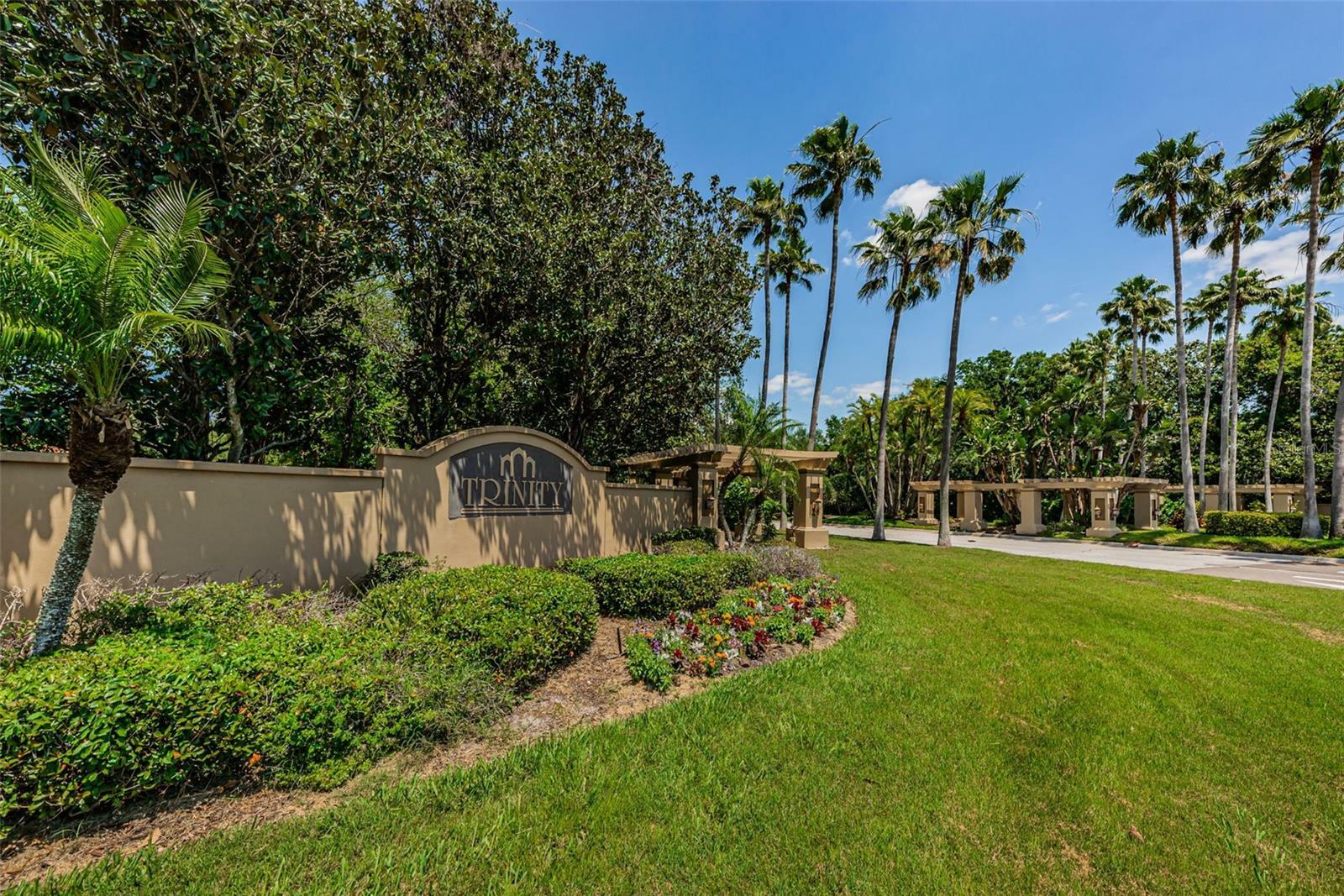 10344 Tecoma Drive  Trinity FL 34655 photo