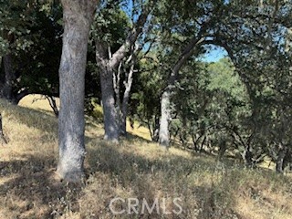 Property Photo:  2172 Ridge Rider Road  CA 93426 