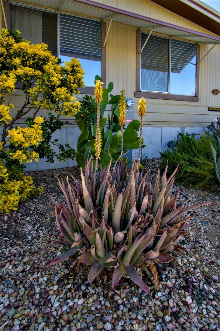 Property Photo: 7425 Church Street 97 CA 92284