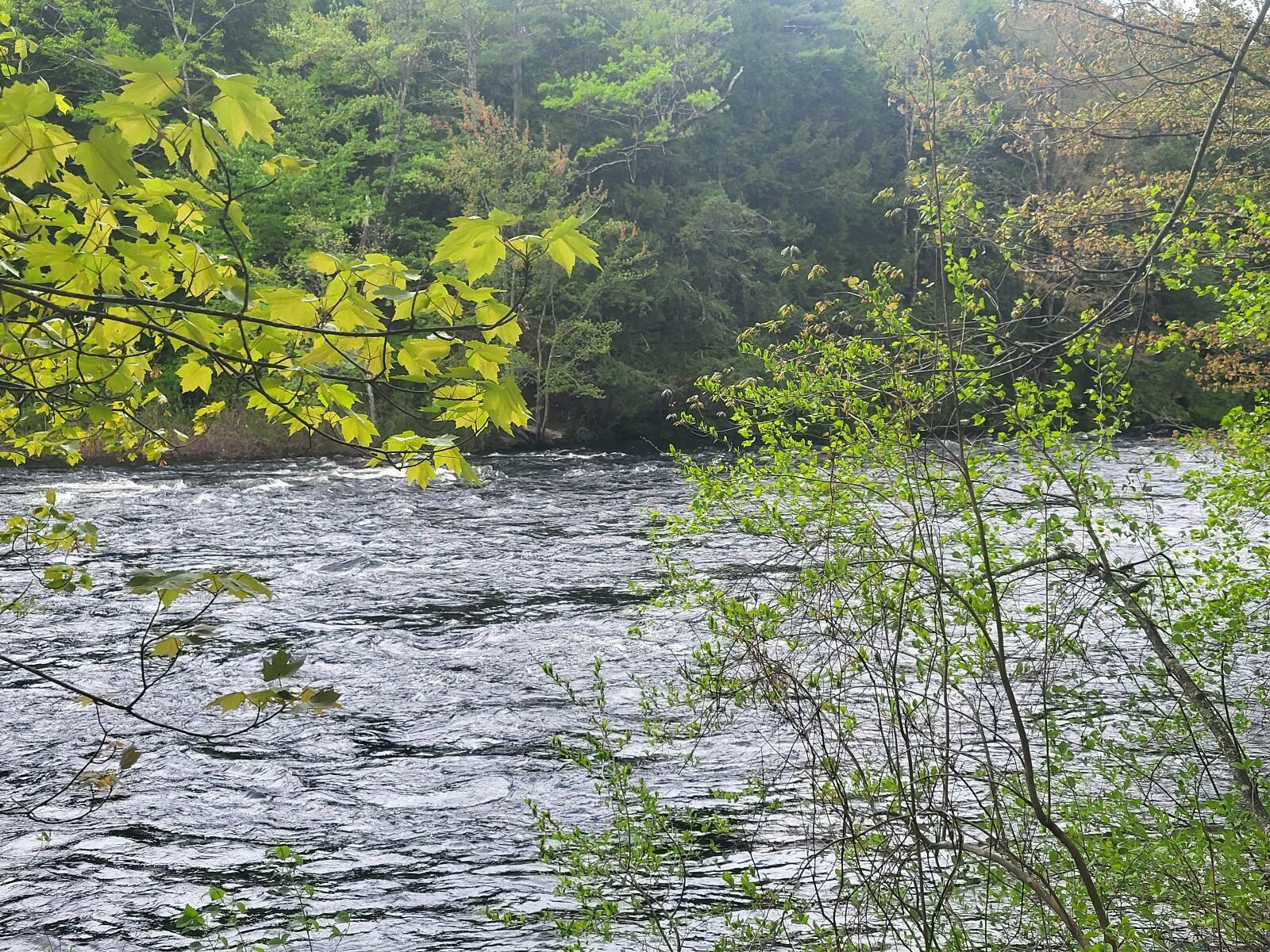 Property Photo: R3-32 Ossipee Trail ME 04068