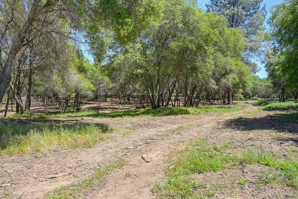 Property Photo: 10650 Werner Road CA 95603