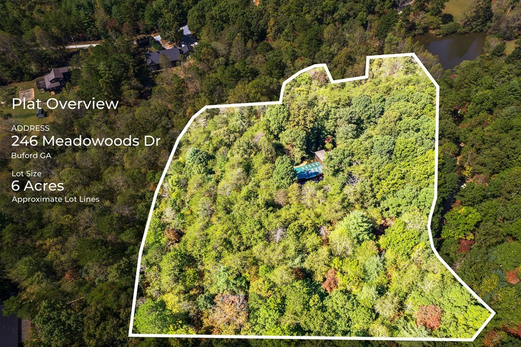 Property Photo: 246 Meadowoods Drive GA 30560