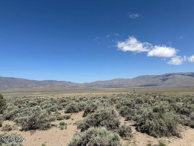 Property Photo:  001 Eastside Lane  NV 89410 