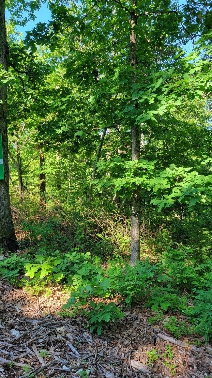 Property Photo:  Lamport Circle  AR 72714 