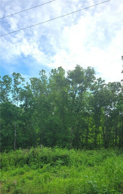 Property Photo:  Leola Lane  AR 72715 