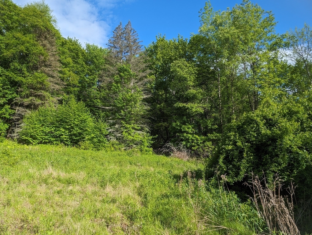 Property Photo: 141 Ireland St MA 01096