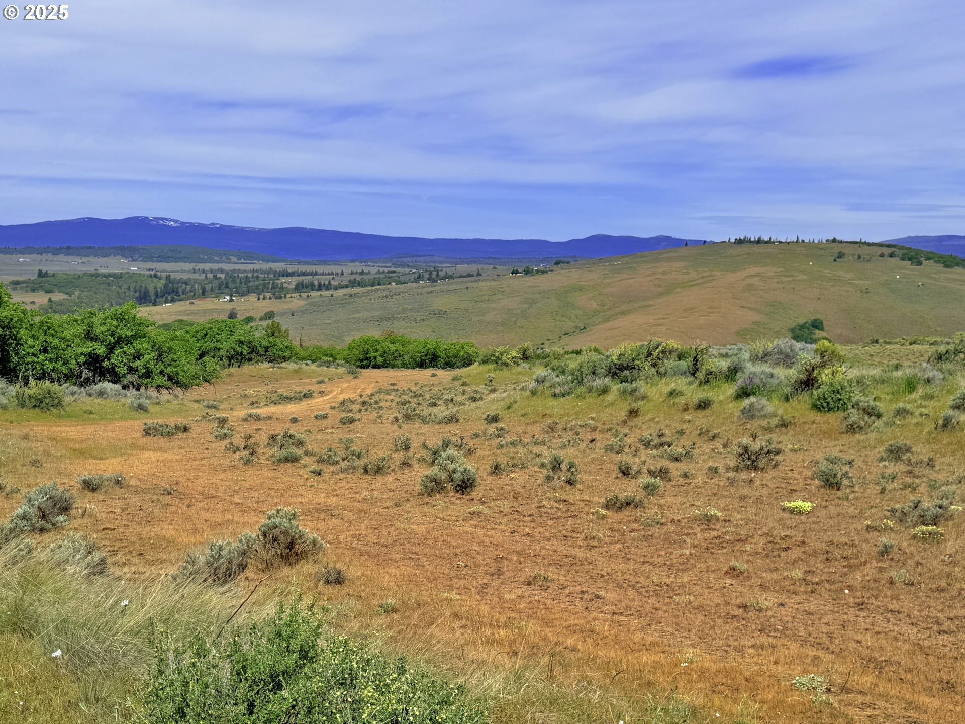 Property Photo:  Off Gnarly Oaks  WA 98620 